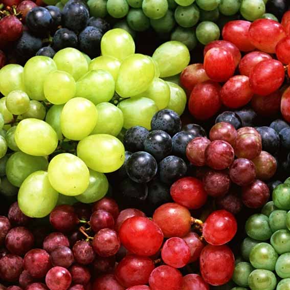 Grapes