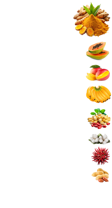 shape-img